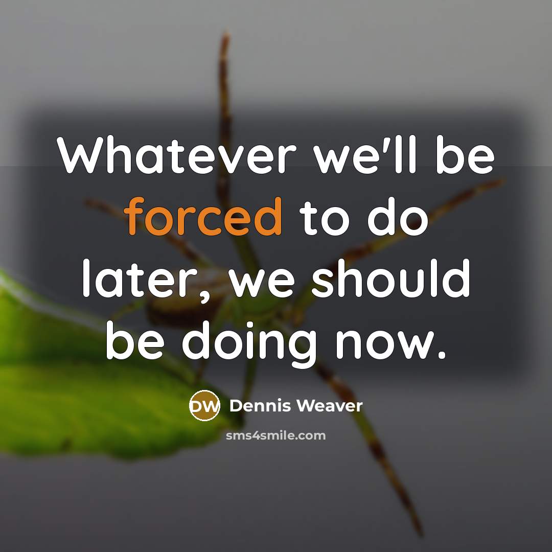 “Whatever we'll be forced to do later, we should be doing now.” quote by Dennis Weaver