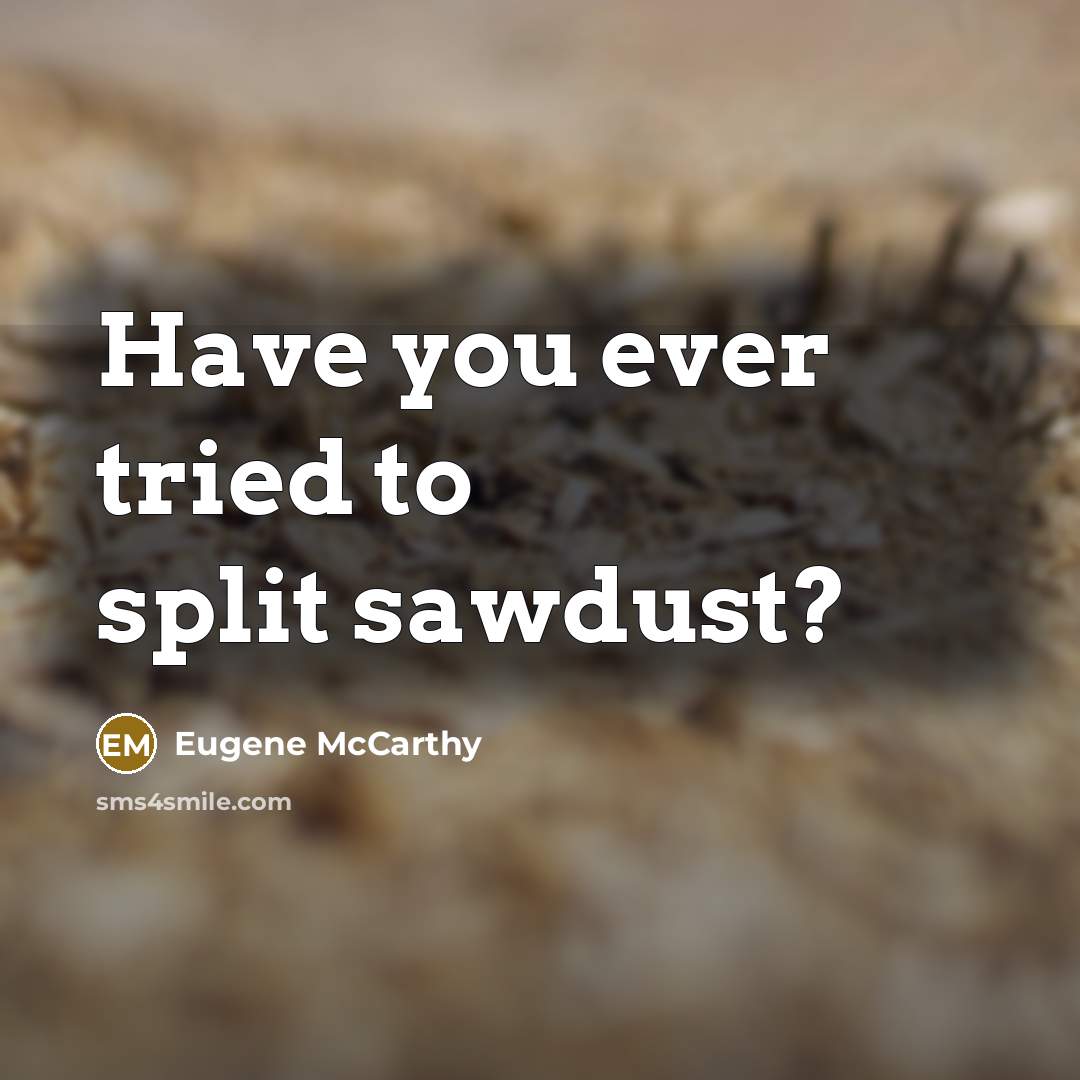 “Have you ever tried to split sawdust?” quote by Eugene McCarthy