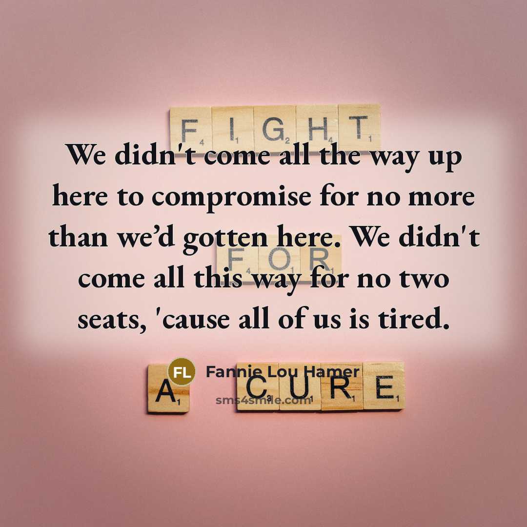 “We didn't come all the way up here to compromise…” quote by Fannie Lou Hamer