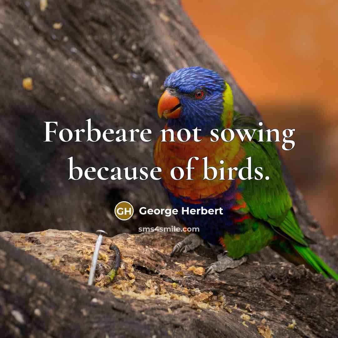 “Forbeare not sowing because of birds.…” quote by George Herbert