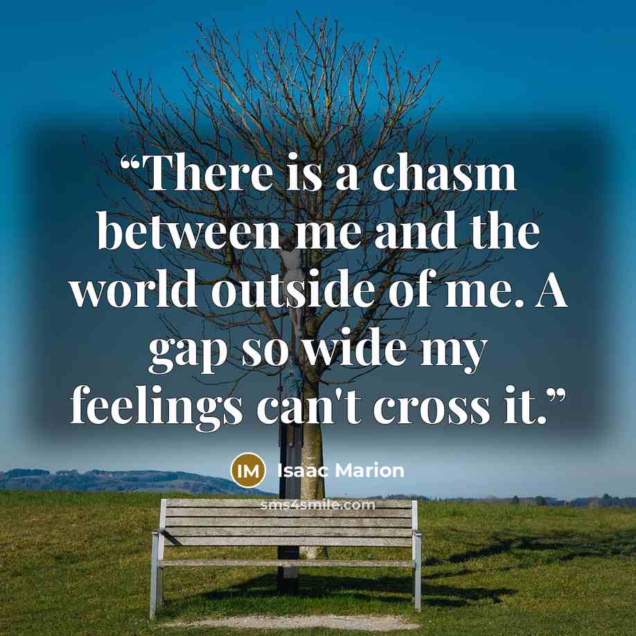 “There is a chasm between me and the world outside of me. A gap so wide my feelings can't cross it.” quote by Isaac Marion