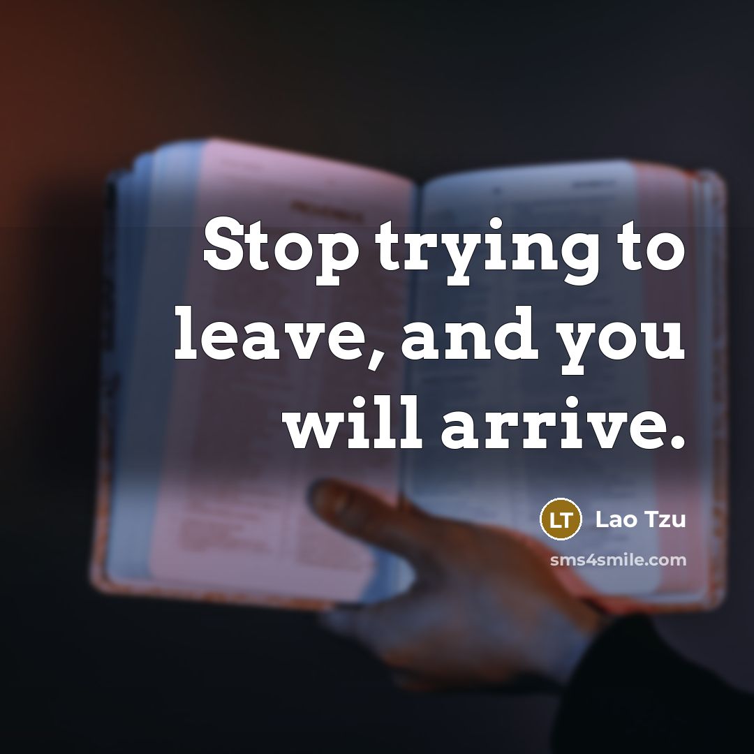 “Stop trying to leave, and you will arrive.…” quote by Lao Tzu