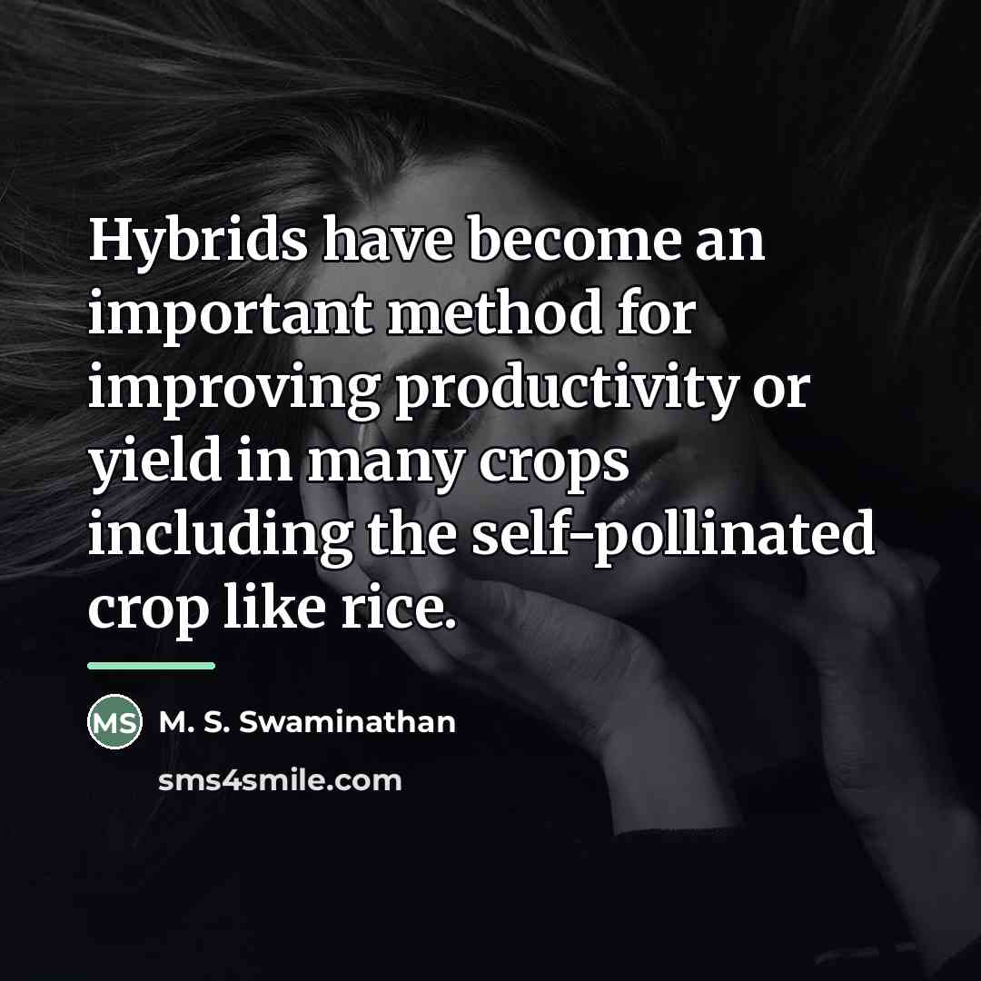 “Hybrids have become an important method for improving productivity or…” quote by M. S. Swaminathan