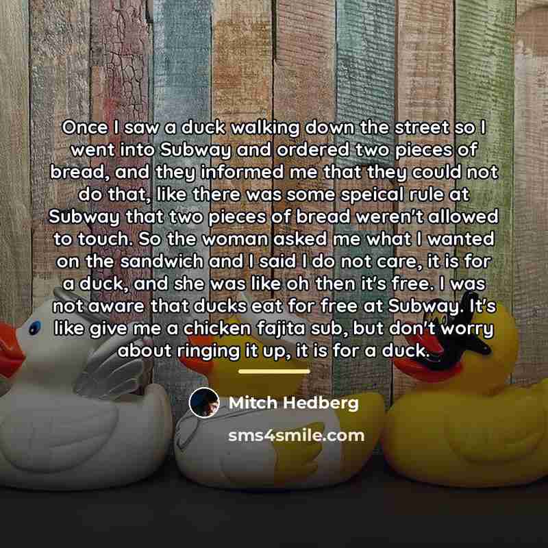“Once I saw a duck walking down the street so…” quote by Mitch Hedberg
