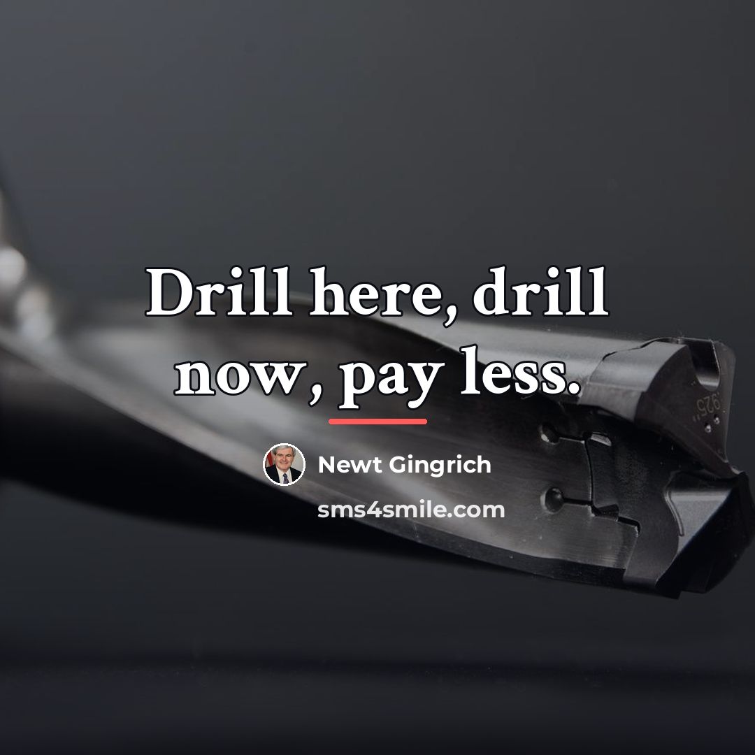 “Drill here, drill now, pay less.…” quote by Newt Gingrich