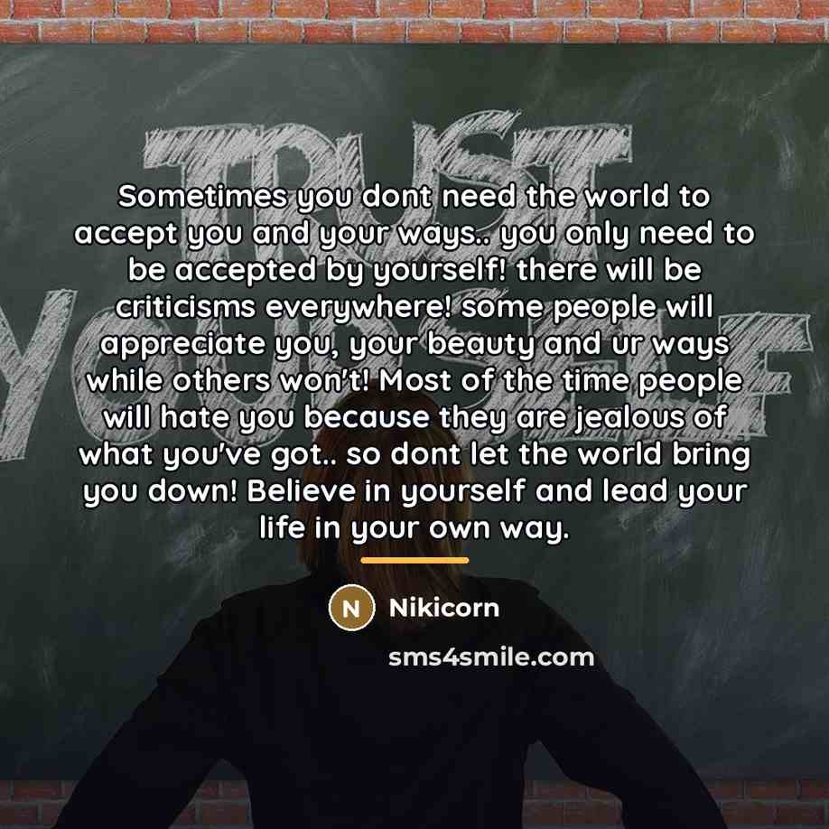 “Sometimes you dont need the world to accept you and…” quote by Nikicorn