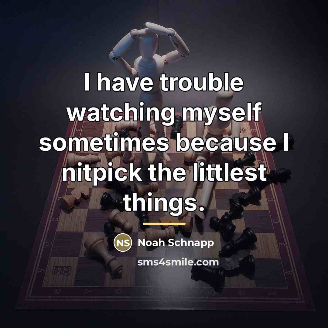“I have trouble watching myself sometimes because I nitpick the…” quote by Noah Schnapp