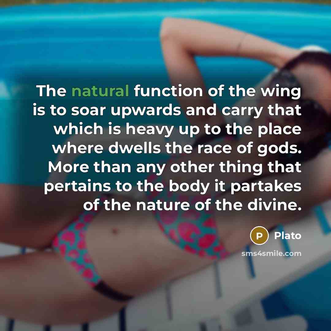 “The natural function of the wing is to soar upwards…” quote by Plato