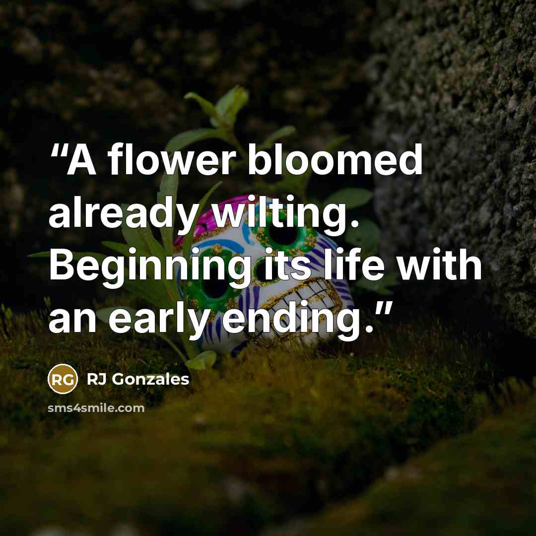 “A flower bloomed already wilting. Beginning its life with an early ending.” quote by RJ Gonzales