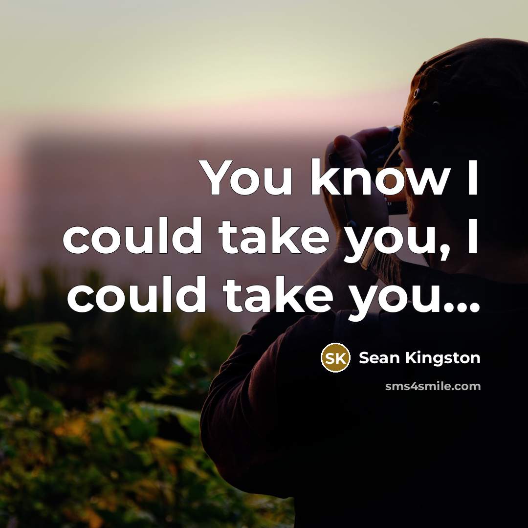 “You know I could take you, I could take you...…” quote by Sean Kingston