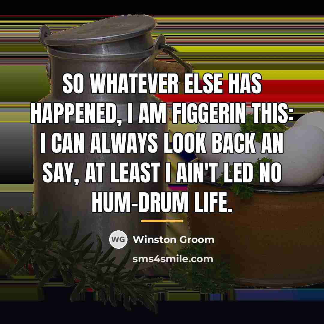 “So whatever else has happened, I am figgerin this: I…” quote by Winston Groom