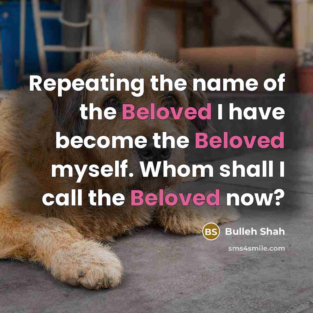 “Repeating the name of the Beloved I have become the…” quote by Bulleh Shah