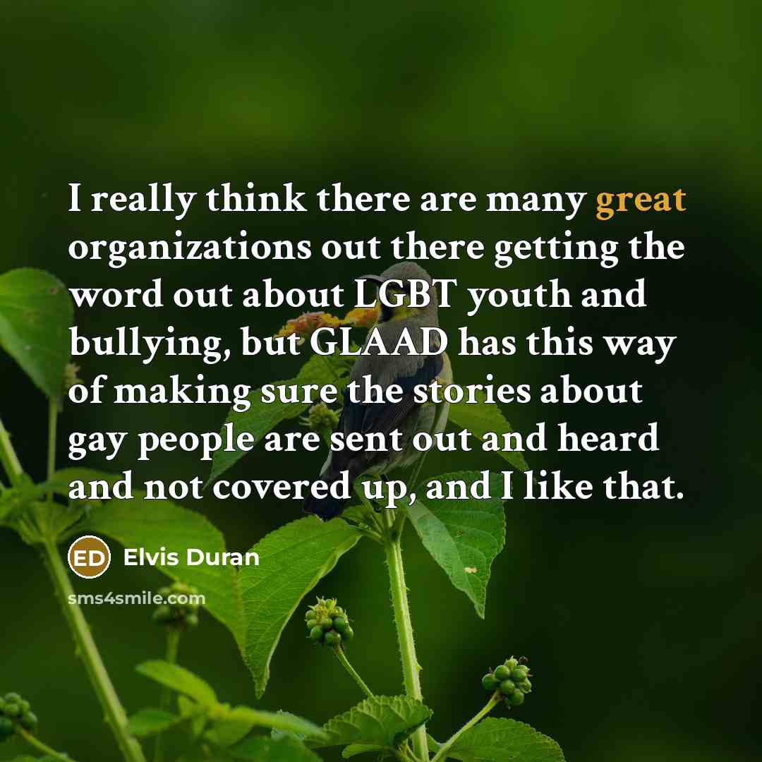 “I really think there are many great organizations out there…” quote by Elvis Duran