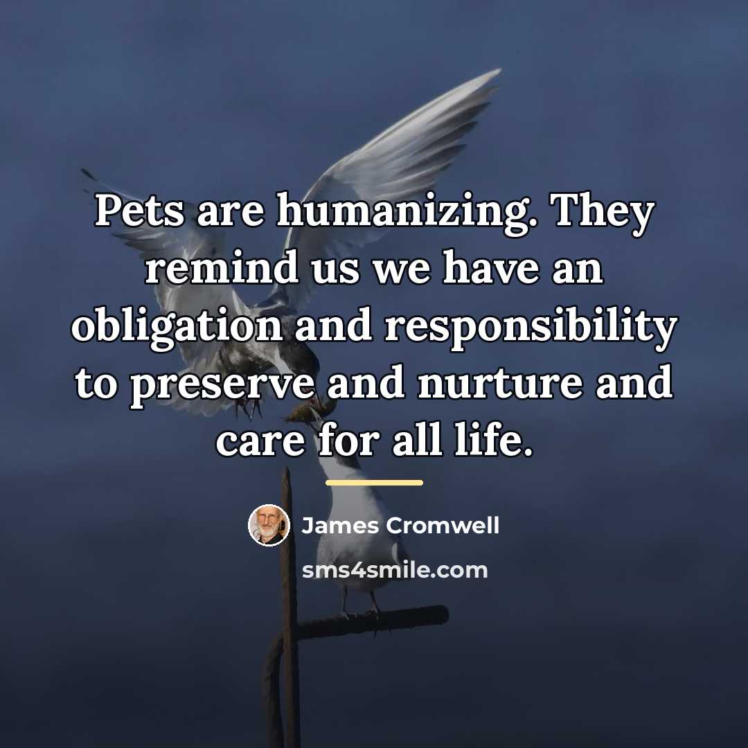 “Pets are humanizing. They remind us we have an obligation…” quote by James Cromwell