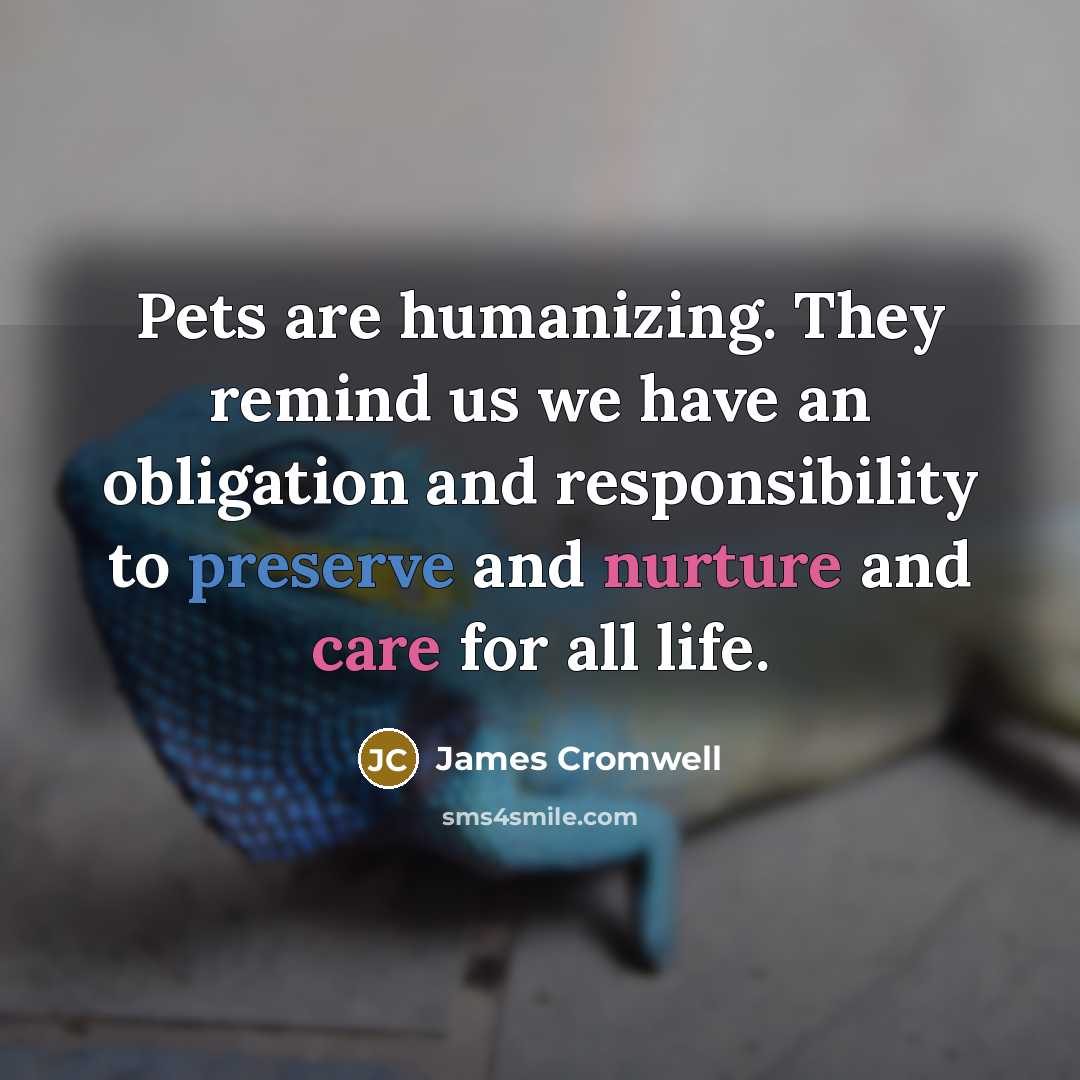 “Pets are humanizing. They remind us we have an obligation and responsibility to preserve and nurture and care for all life.” quote by James Cromwell