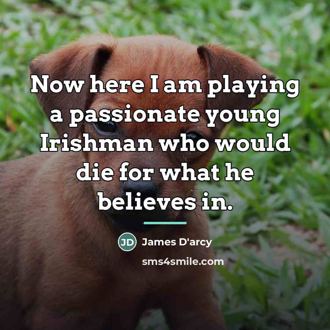 “Now here I am playing a passionate young Irishman who…” quote by James D'arcy