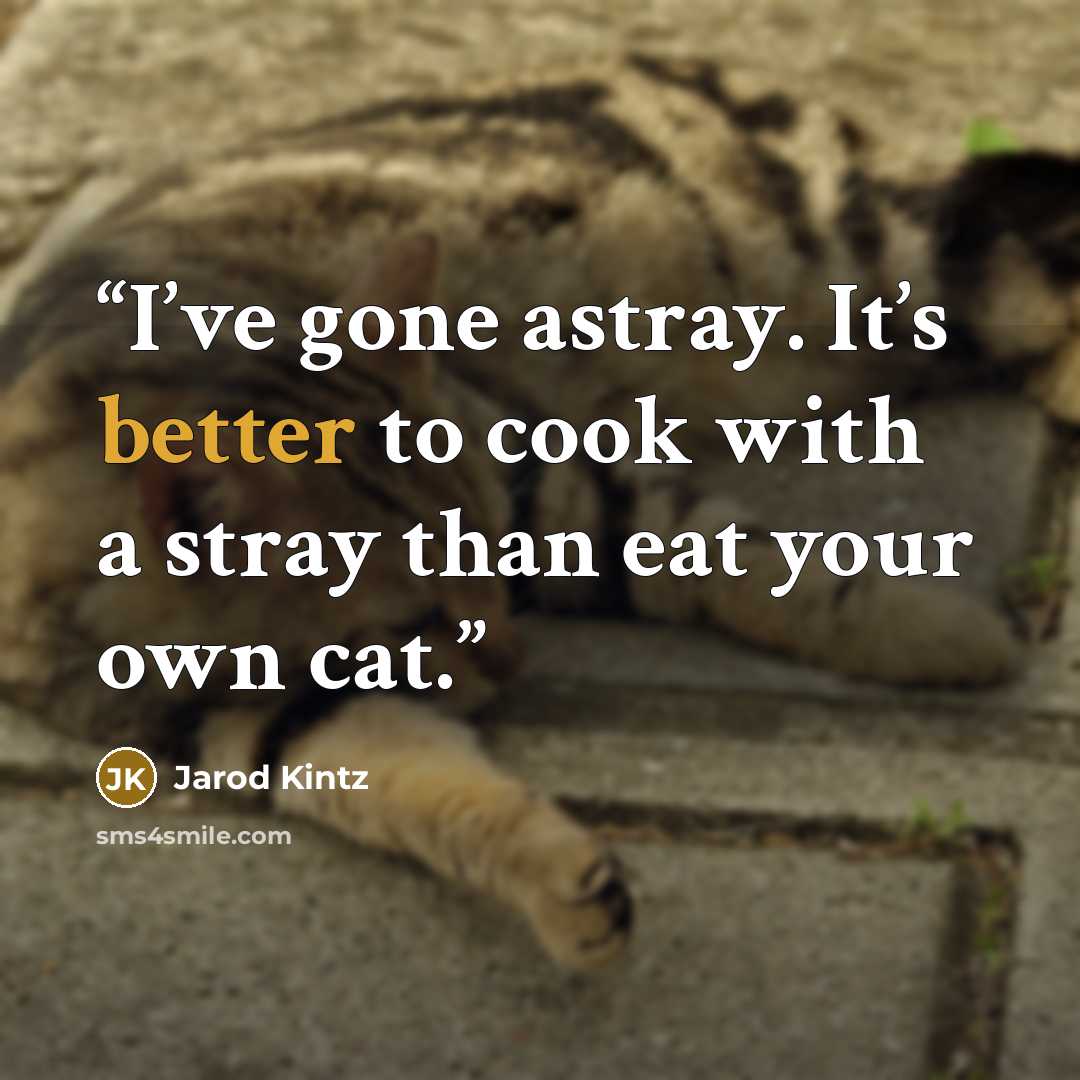“I’ve gone astray. It’s better to cook with a stray than eat your own cat.” quote by Jarod Kintz