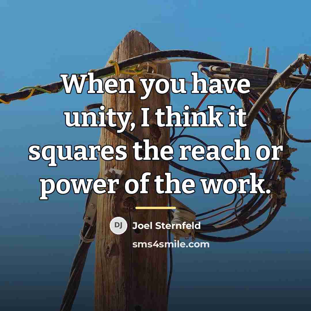 “When you have unity, I think it squares the reach…” quote by Joel Sternfeld