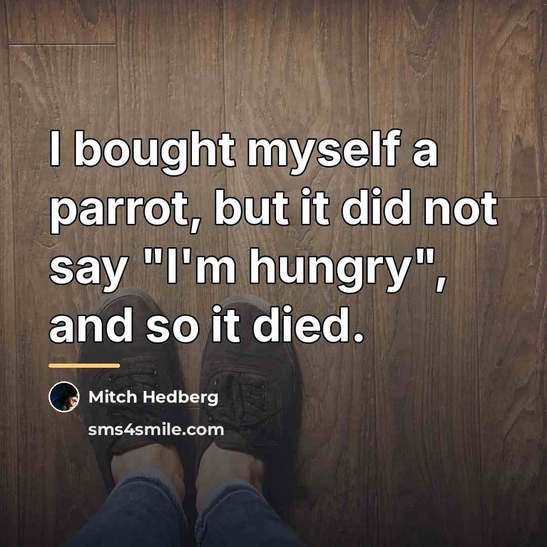 “I bought myself a parrot, but it did not say…” quote by Mitch Hedberg