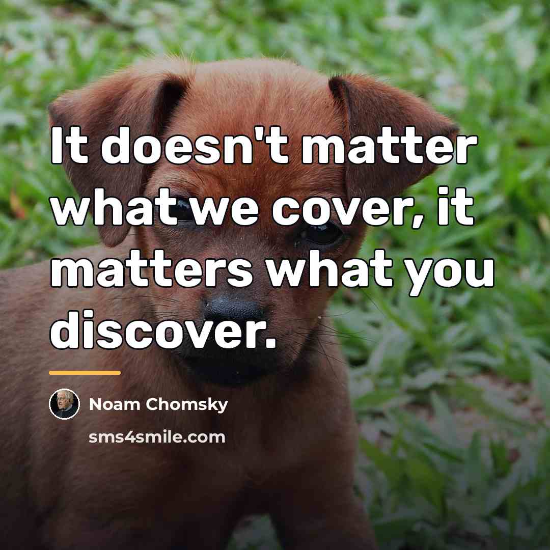 “It doesn't matter what we cover, it matters what you…” quote by Noam Chomsky