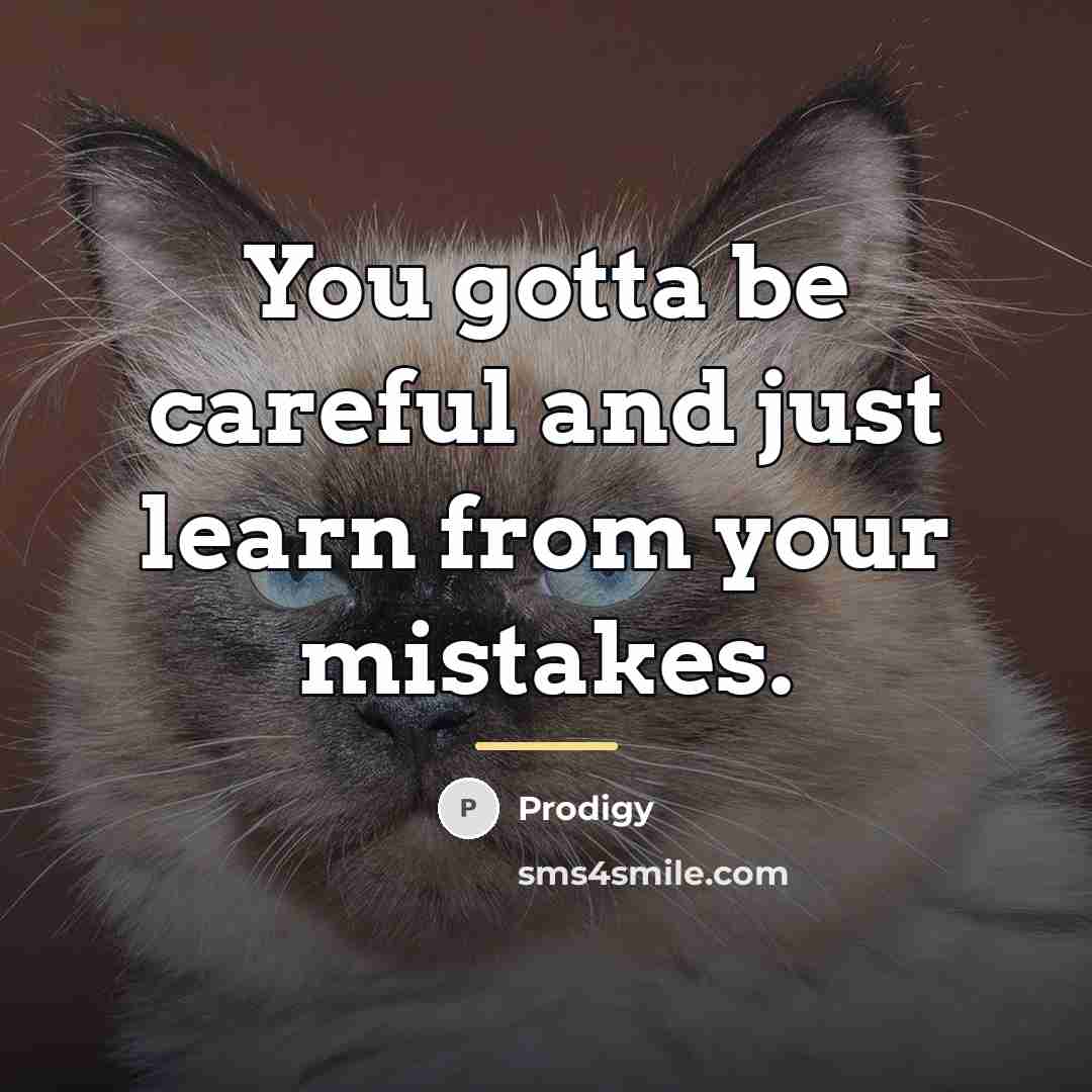 “You gotta be careful and just learn from your mistakes.…” quote by Prodigy
