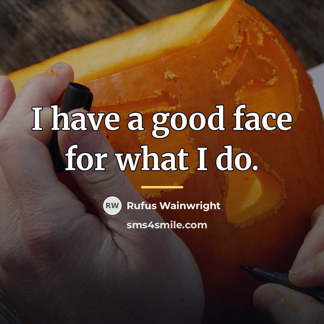 “I have a good face for what I do.…” quote by Rufus Wainwright