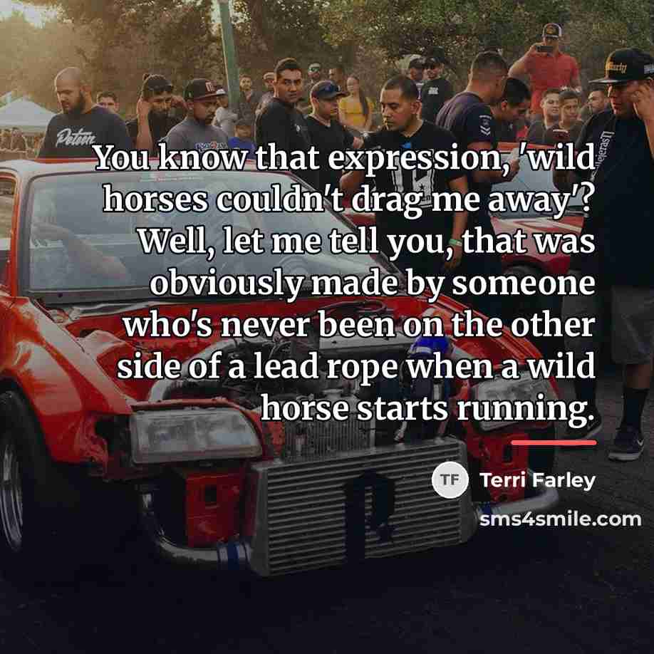 “You know that expression, 'wild horses couldn't drag me away'?…” quote by Terri Farley