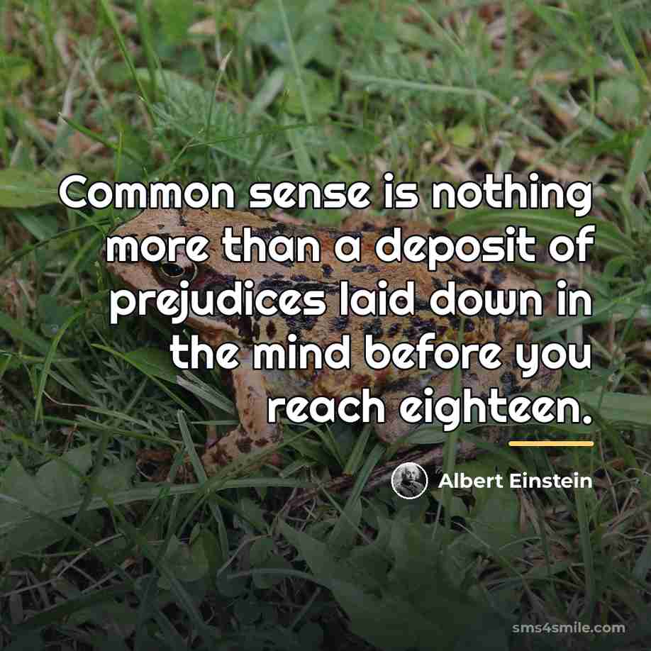 “Common sense is nothing more than a deposit of prejudices…” quote by Albert Einstein