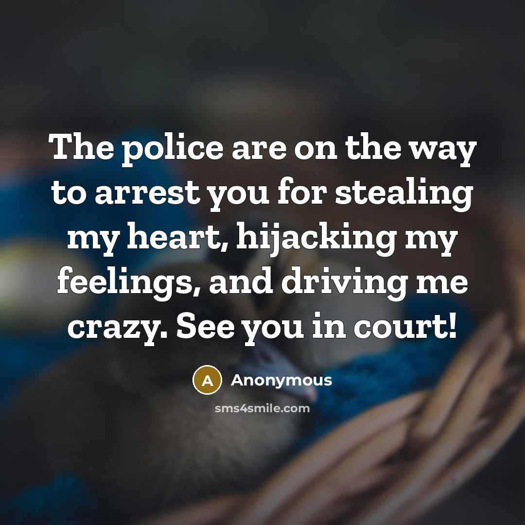 “The police are on the way to arrest you for stealing my heart, hijacking my feelings, and driving me crazy. See you in court!” quote by Anonymous