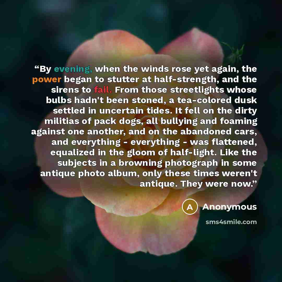 “By evening, when the winds rose yet again, the power began to stutter at half-strength, and the sirens to fail. From those streetlights whose bulbs hadn't been stoned, a tea-colored dusk settled in uncertain tides. It fell on the dirty militias of pack dogs, all bullying and foaming against one…” quote by Anonymous