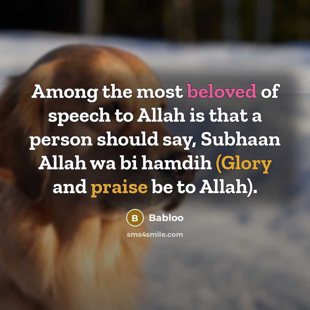 “Among the most beloved of speech to Allah is that a person should say, Subhaan Allah wa bi hamdih (Glory and praise be to Allah).” quote by Babloo