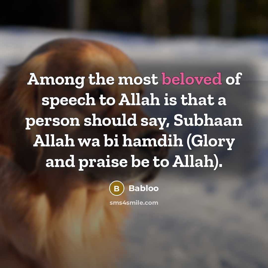 “Among the most beloved of speech to Allah is that…” quote by Babloo