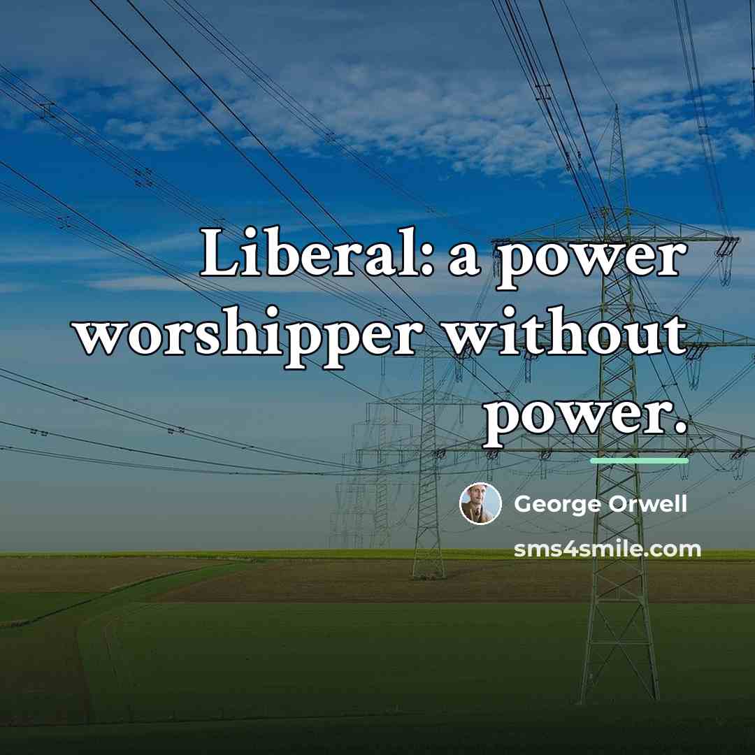 “Liberal: a power worshipper without power.…” quote by George Orwell