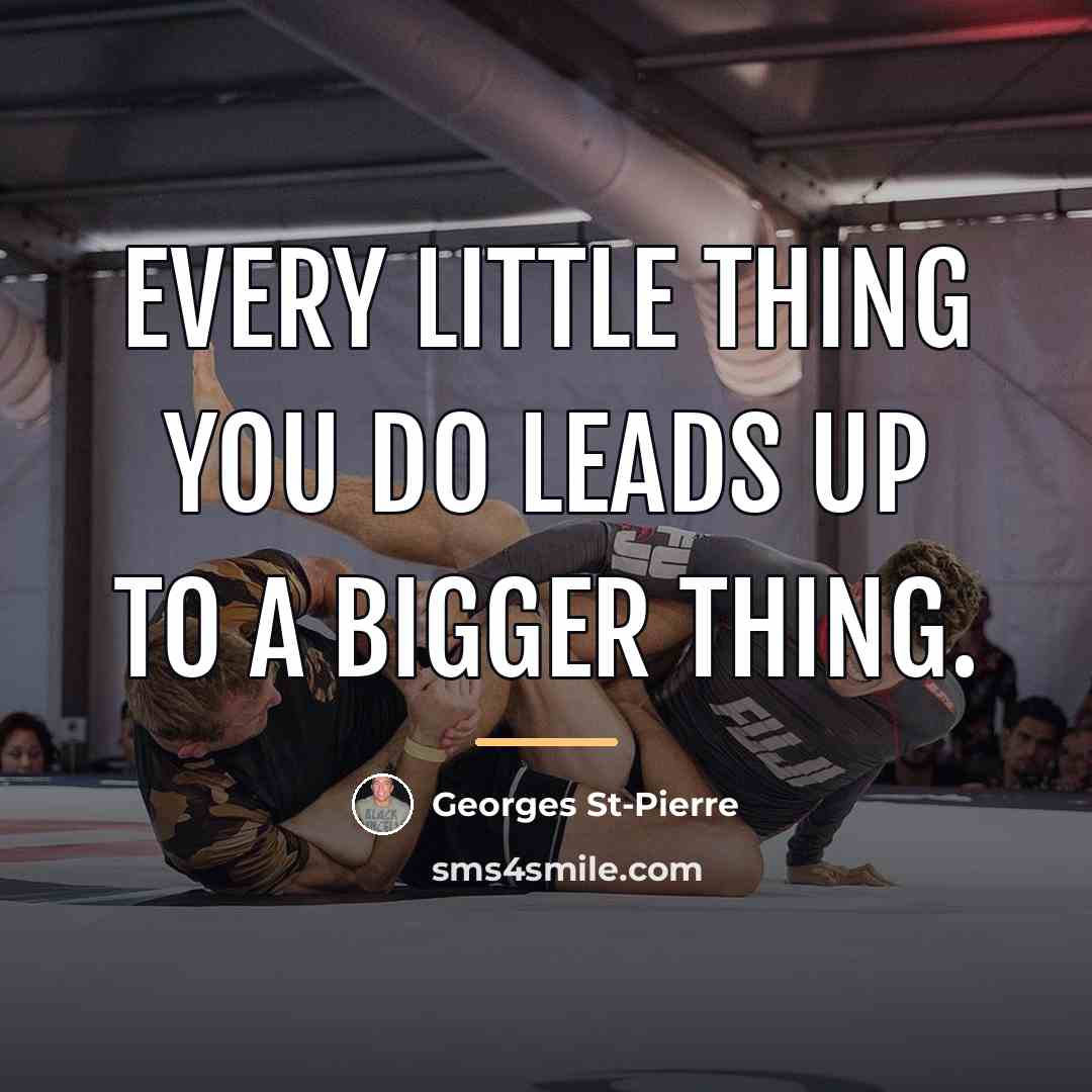“Every little thing you do leads up to a bigger…” quote by Georges St-Pierre