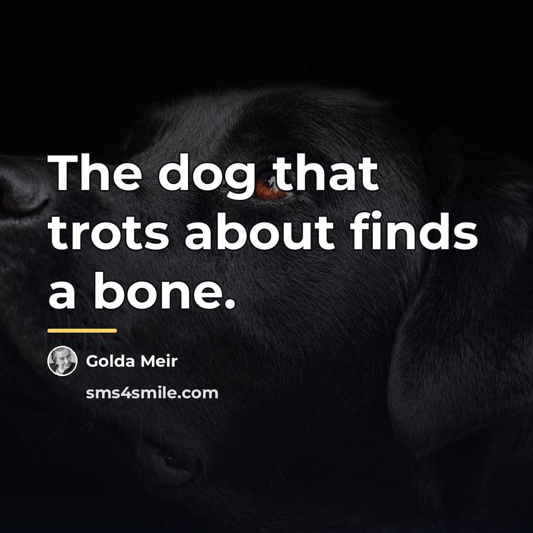 “The dog that trots about finds a bone.…” quote by Golda Meir