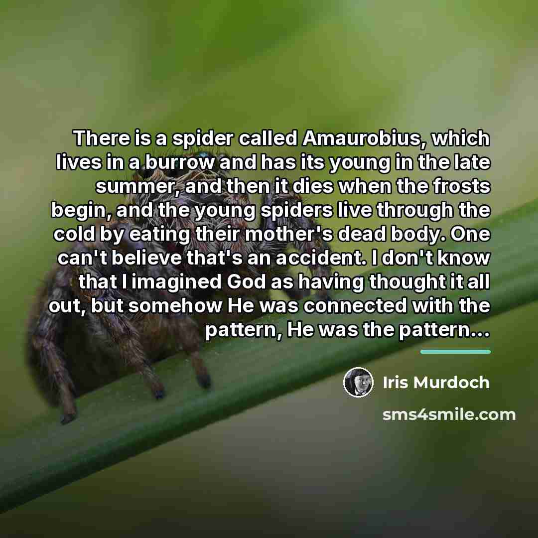“There is a spider called Amaurobius, which lives in a…” quote by Iris Murdoch