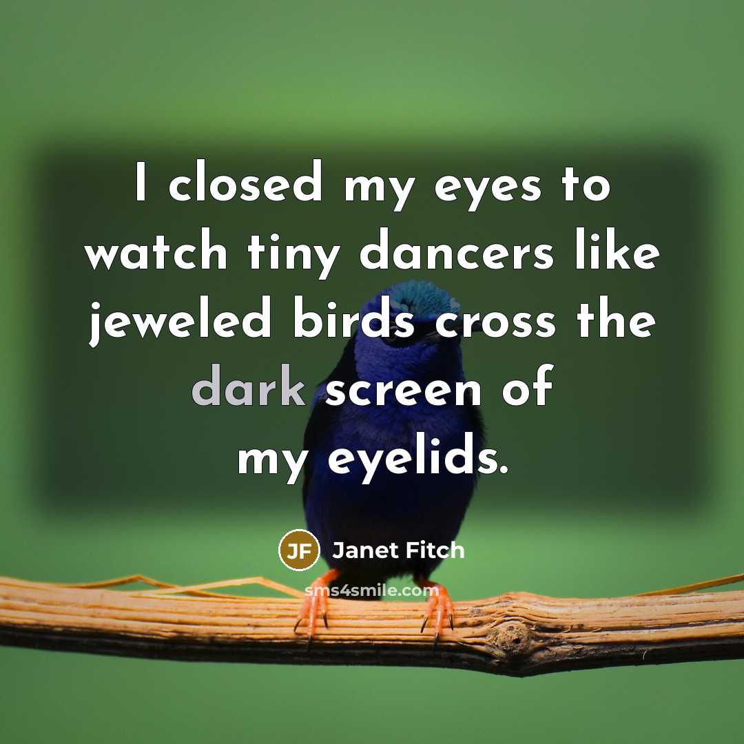 “I closed my eyes to watch tiny dancers like jeweled…” quote by Janet Fitch