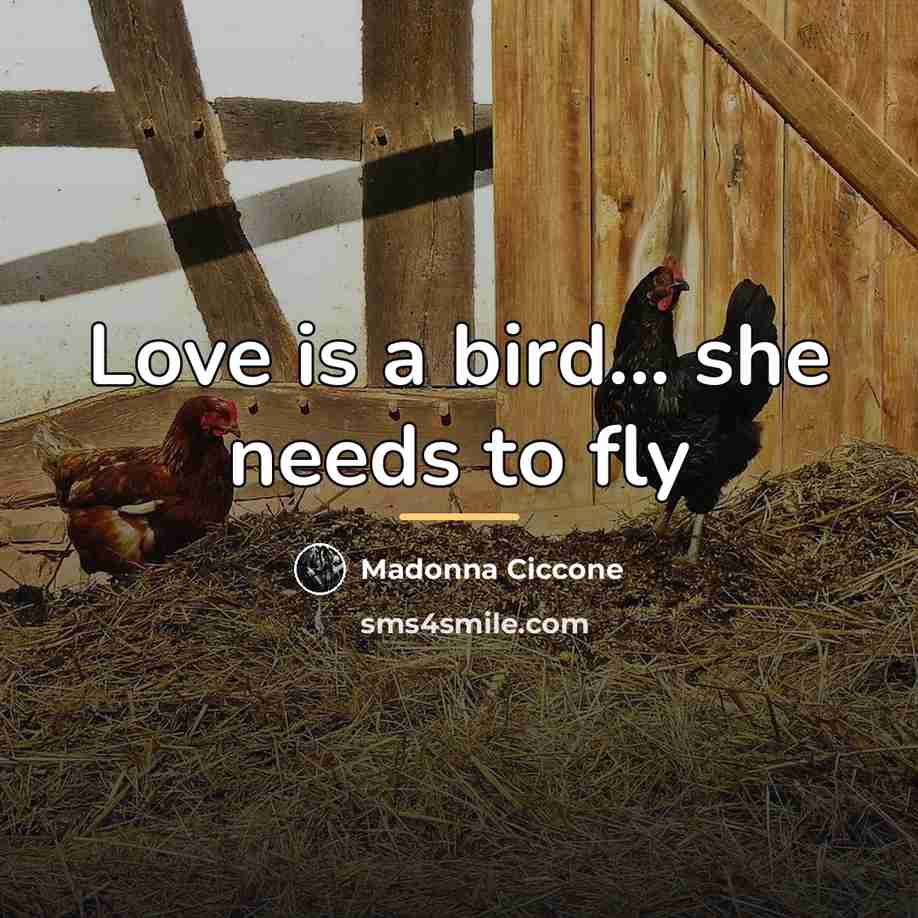 “Love is a bird... she needs to fly…” quote by Madonna Ciccone