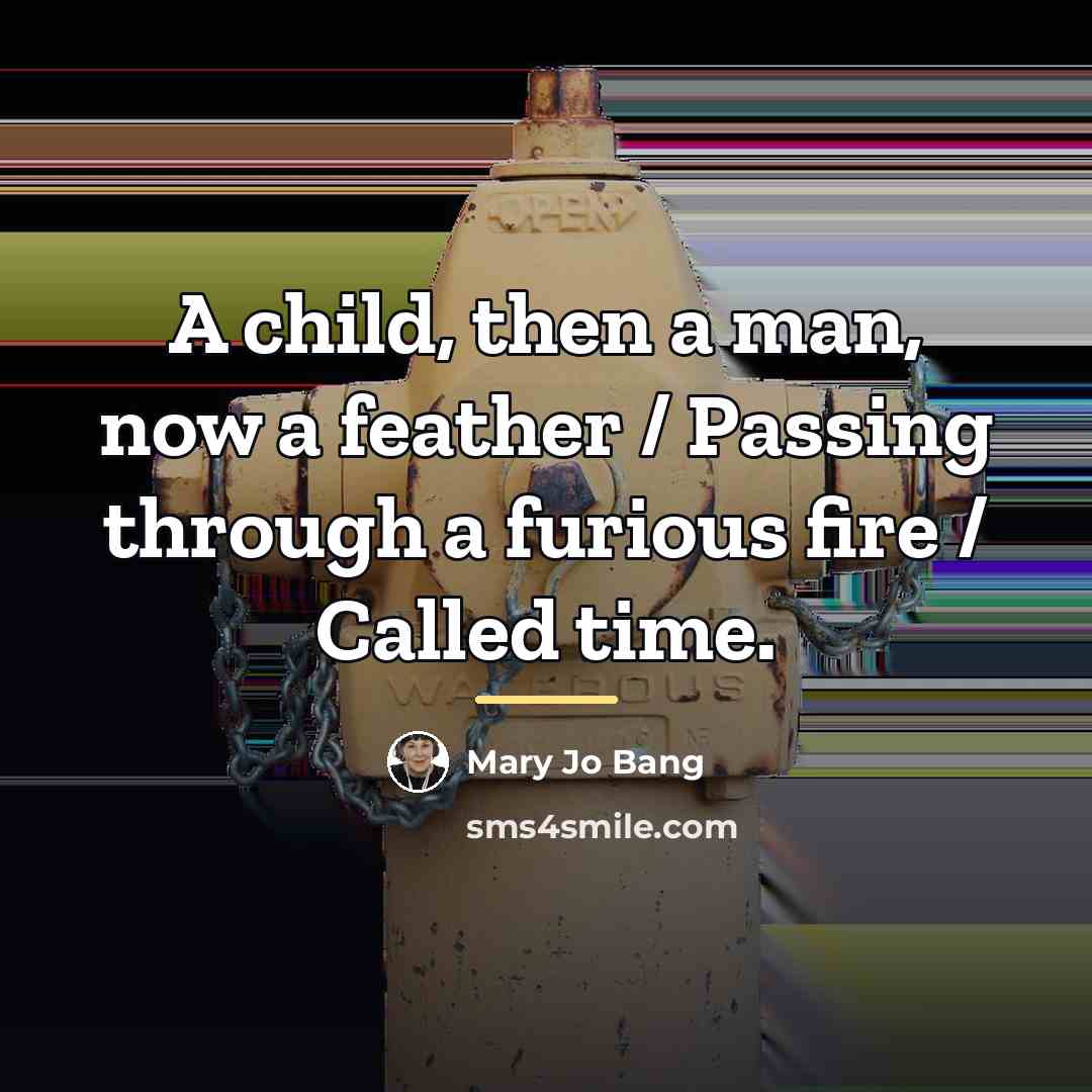 “A child, then a man, now a feather / Passing…” quote by Mary Jo Bang
