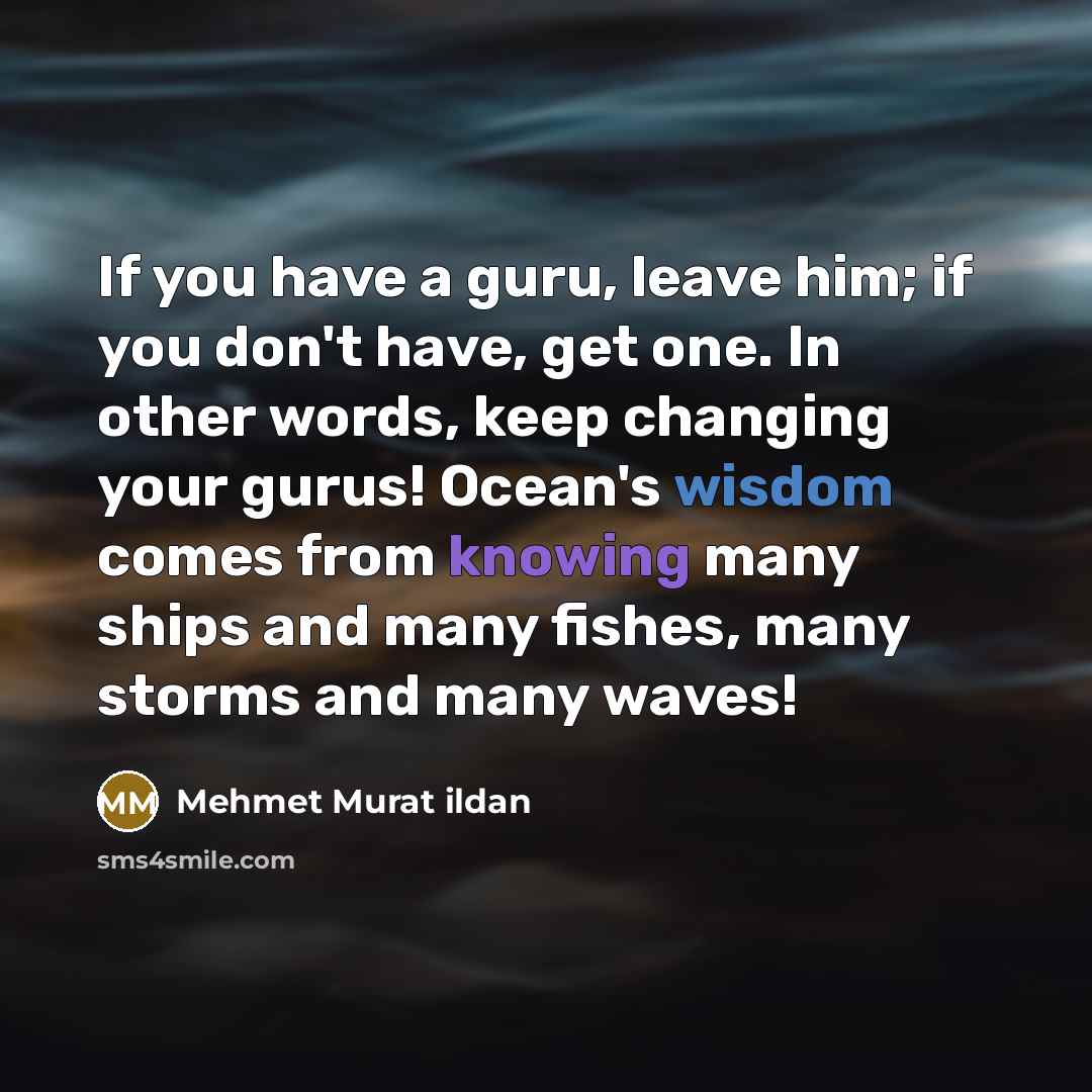 “If you have a guru, leave him; if you don't…” quote by Mehmet Murat Ildan