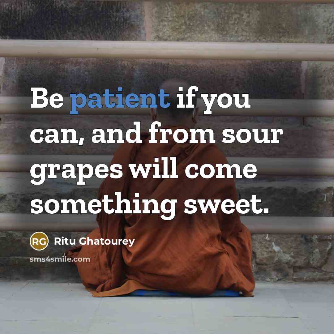 “Be patient if you can, and from sour grapes will…” quote by Ritu Ghatourey