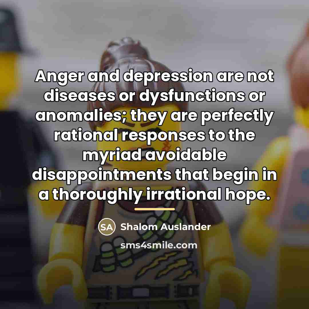 “Anger and depression are not diseases or dysfunctions or anomalies;…” quote by Shalom Auslander