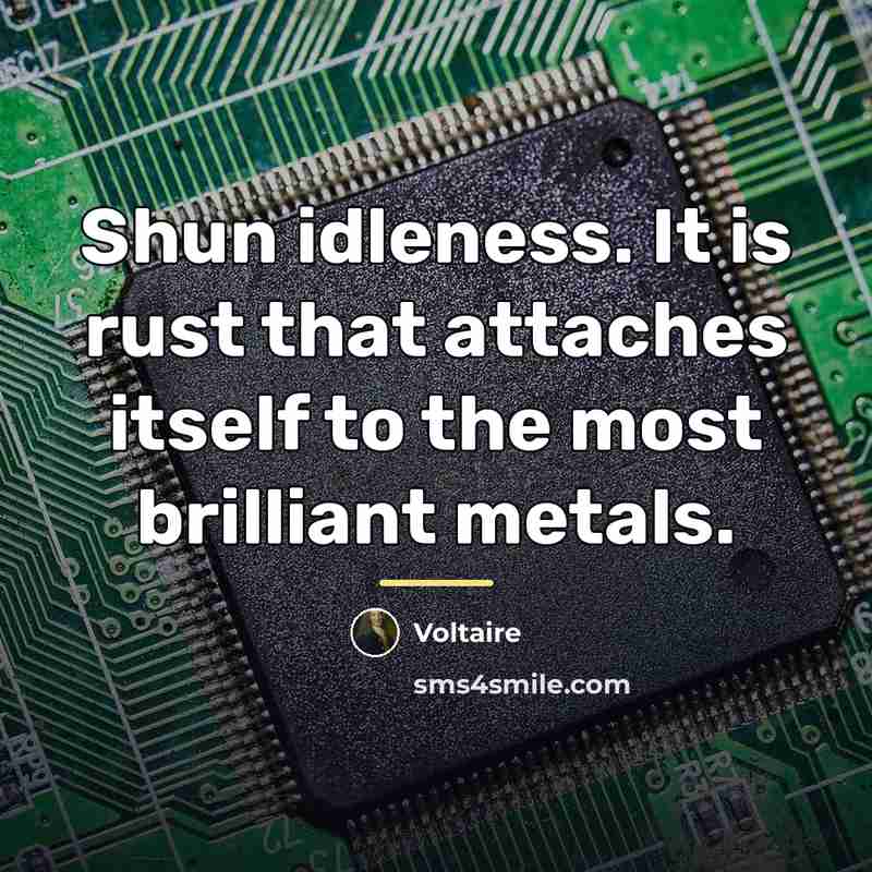 “Shun idleness. It is rust that attaches itself to the…” quote by Voltaire