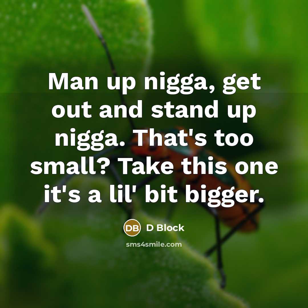 “Man up nigga, get out and stand up nigga. That's too small? Take this one it's a lil' bit bigger.” quote by D Block