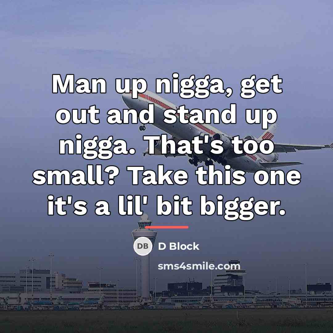 “Man up nigga, get out and stand up nigga. That's…” quote by D Block