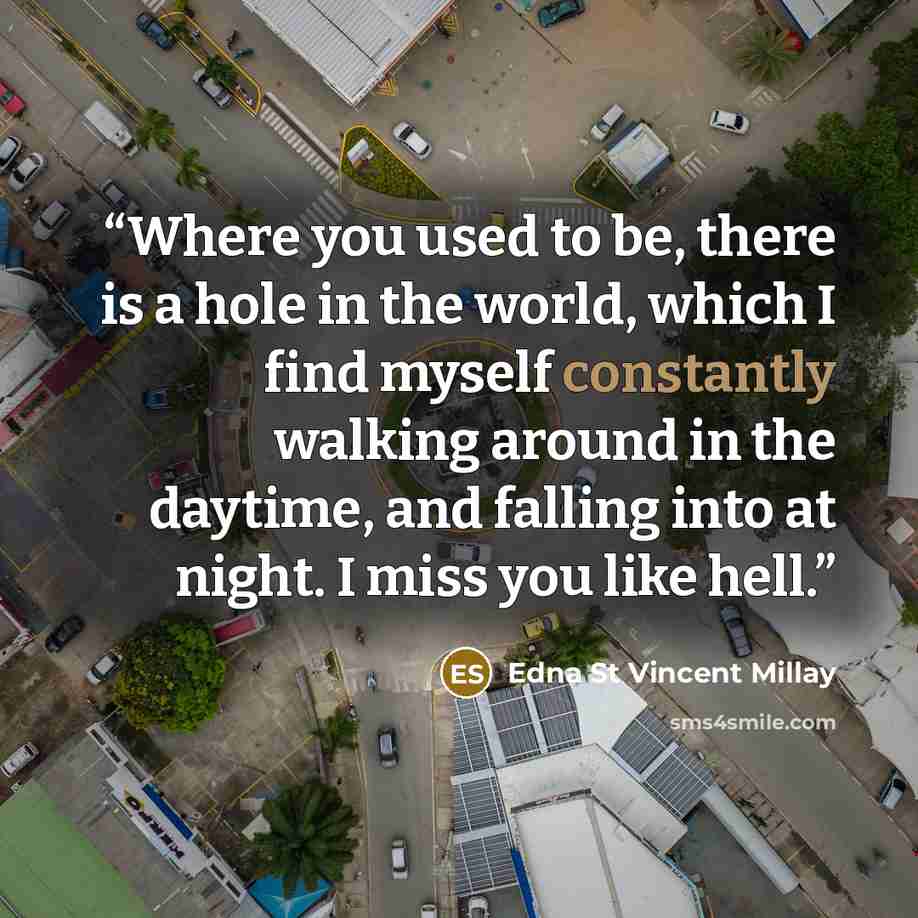 “Where you used to be, there is a hole in the world, which I find myself constantly walking around in the daytime, and falling into at night. I miss you like hell.” quote by Edna St Vincent Millay