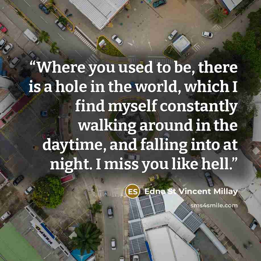 “Where you used to be, there is a hole in the world, which I find myself constantly walking around in the daytime, and falling into at night. I miss you like hell.” quote by Edna St Vincent Millay