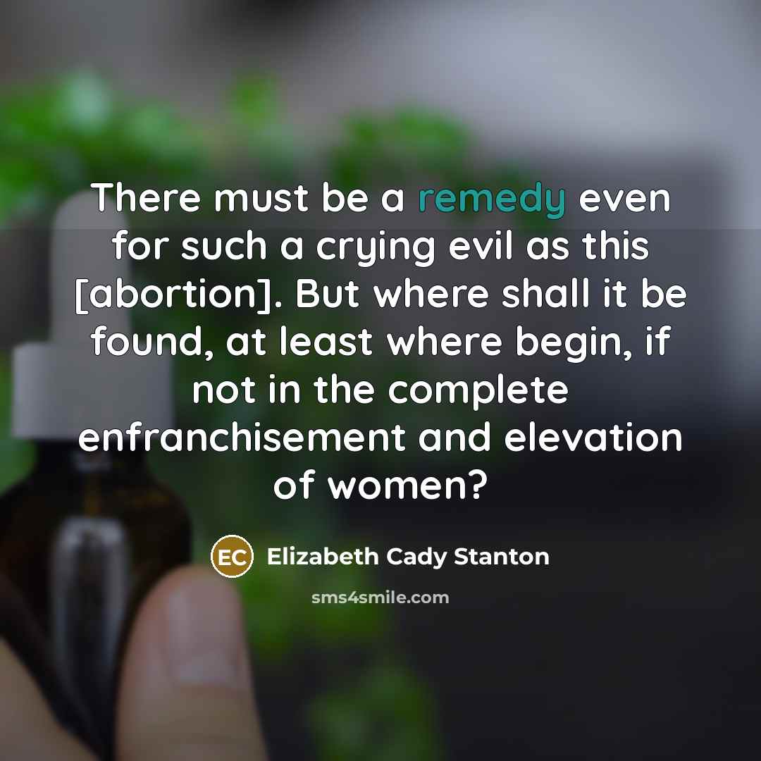 “There must be a remedy even for such a crying…” quote by Elizabeth Cady Stanton