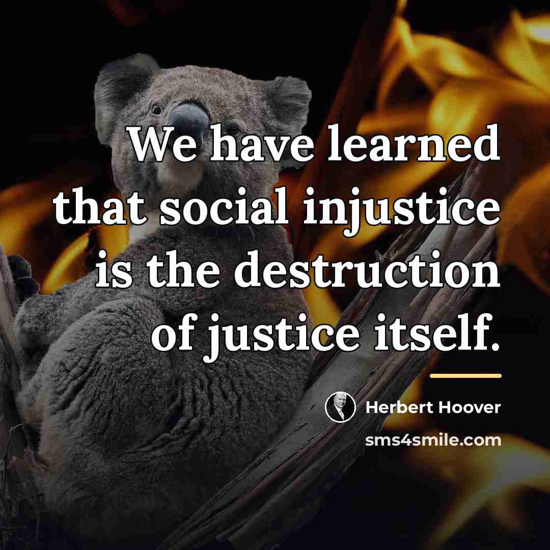 “We have learned that social injustice is the destruction of…” quote by Herbert Hoover