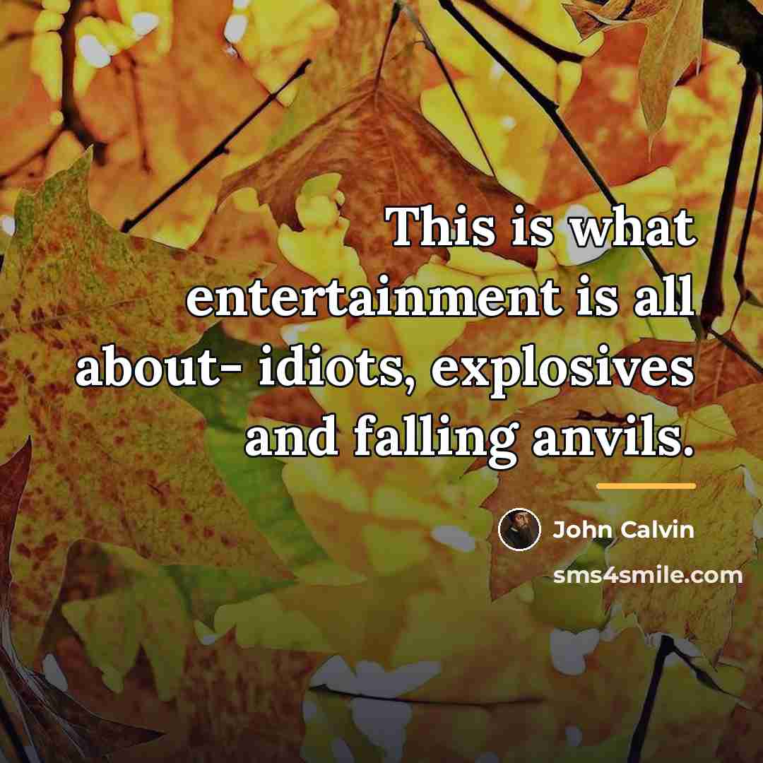 “This is what entertainment is all about- idiots, explosives and…” quote by John Calvin